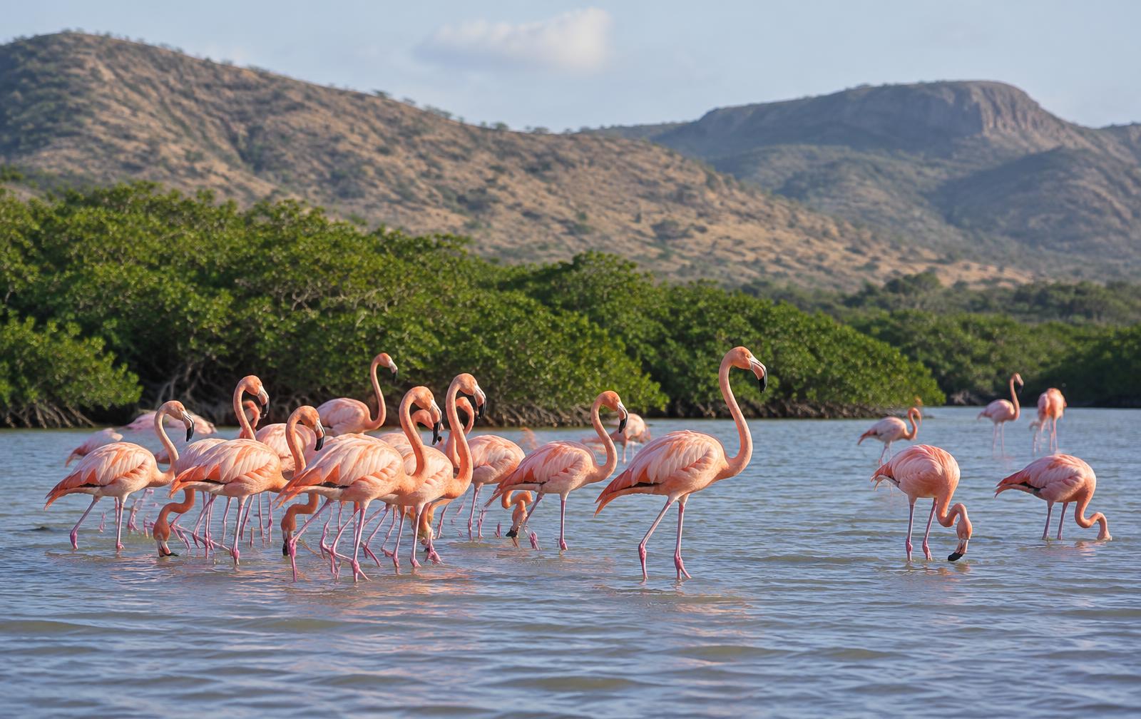 Laguna de Oviedo