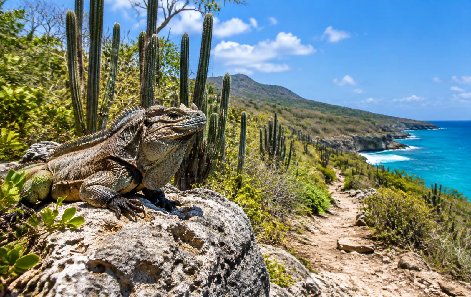 Jaragua National Park